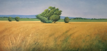 RENZO CORCOS